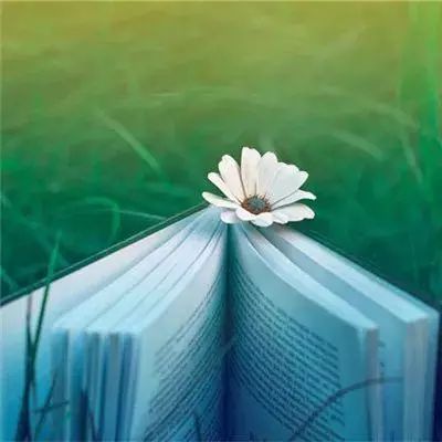 弹性世界破解版下载