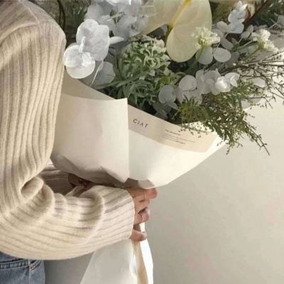 皇者霸业bt公益服下载